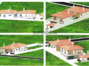 Terreno em Souto da Carpalhosa e Ortigosa
