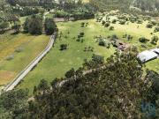 Terreno em Souto da Carpalhosa e Ortigosa de 161861,00 m²