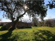Terreno em Tavira Santa Maria e Santiago