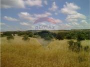 Terreno em Terena São Pedro