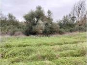 Terreno em Terena São Pedro