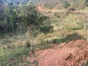 Terreno em, Tijucas do Sul/PR de 10000m² à venda por R$...