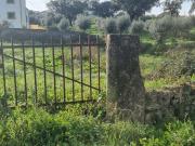 Terreno em Tolosa de 1758,00 m²