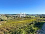 Terreno em Torres vedras