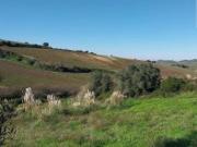 Terreno em Turcifal de 100000,00 m²
