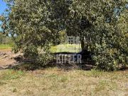 Terreno em Ubatiba, Maricá/RJ de 0m² à venda por R$...