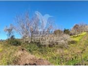 Terreno em União Freguesias Santa Maria, São Pedro e...