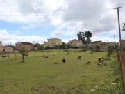 Terreno em Vale do Horto