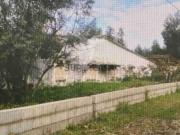 Terreno em Valongo do Vouga