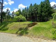Terreno em Vargem Grande, Teresópolis/RJ de 0m² à venda...