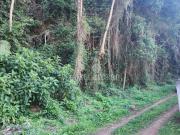 Terreno em Vargem Grande, Teresópolis/RJ de 0m² à venda...