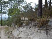 Terreno em Várzea, Aliviada e Folhada