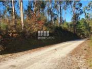 Terreno em Várzea, Aliviada e Folhada