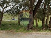 Terreno em Venade e Azevedo