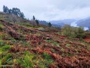 Terreno em Ventosa Vieira do Minho Oportunidade nica