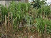 Terreno em Vila Ana, Mauá/SP de 0m² à venda por R$... Terreno em Vila Ana, Mauá/SP de 0m² à venda por R$...