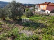 Terreno em Vila Caiz