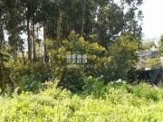 Terreno em Vila de Punhe