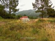 Terreno em Vila de Punhe