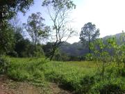 Terreno em Vila Diva, Carapicuíba/SP de 0m² à venda por...