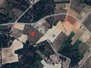 Terreno em Vila Flor com 12.000m2