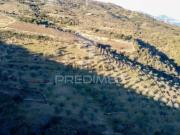 Terreno em Vila Nova de Foz Côa