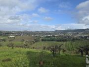 Terreno em Vilar