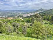 Terreno em Vouzela e Paços de Vilharigues de 26750,00 m²