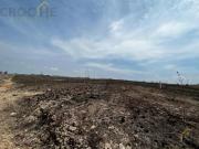 Terreno Emiliano Zapata Terreno Emiliano Zapata