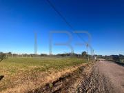 Terreno en 38 entre 192 y 194 a 200 mts de Ruta 36