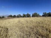 Terreno en Abasolo S/N Col. La Arenita Tala, Jalisco