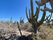 Terreno en Agua Blanca Terreno en Agua Blanca