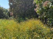 Terreno en Ahuatepec