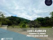 Terreno en Allende, en Los Adobes, de 73,000m2