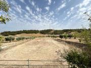 Terreno en Alquiler en Arganda del Rey