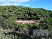 Terreno en alquiler en calle De la Carena, Vilassar de...