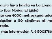 Terreno en Alquiler en El Ejido