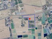 Terreno en Alquiler en Elche Elx