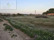 Terreno en Alquiler en Elche Elx