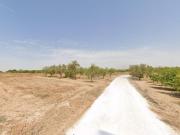 Terreno en Alquiler en Elche Elx