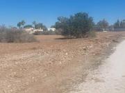 Terreno en Alquiler en Elche Elx