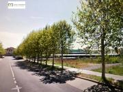 Terreno en Alquiler en León