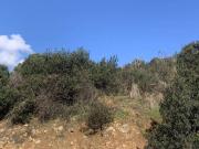 Terreno en Venta en Navalafuente