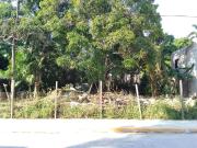 Terreno en Arbol Grande