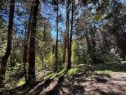 Terreno en Arelauquen