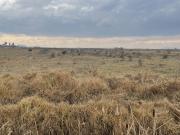 Terreno En Atarasquillo Terreno En Atarasquillo