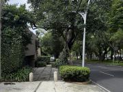 Para remodelar en Av Reforma