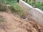 Terreno en Balcones al Mar