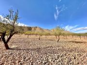 Terreno en Barbarroja