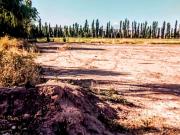 TERRENO EN BARREAL CALINGASTA